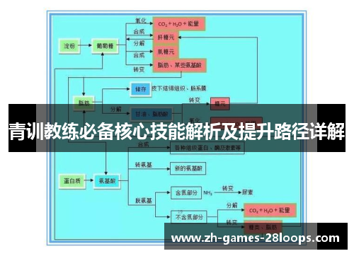 青训教练必备核心技能解析及提升路径详解